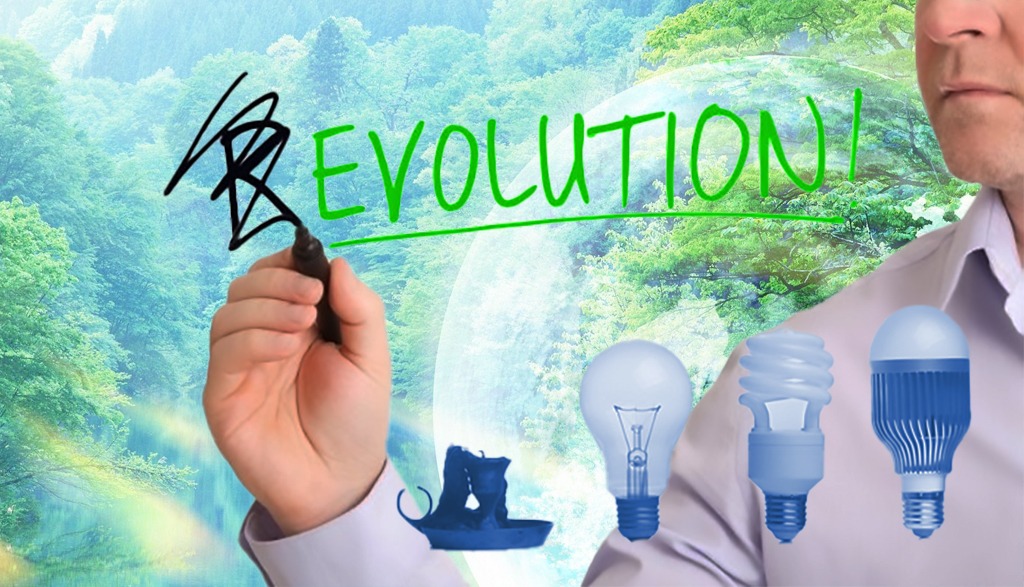 Green Revolution or Green Evolution: Navigating Pathways for Environmental Advocacy