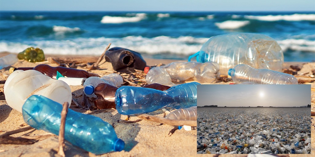 The Effects of Plastic on the Environment and Its Inhabitants